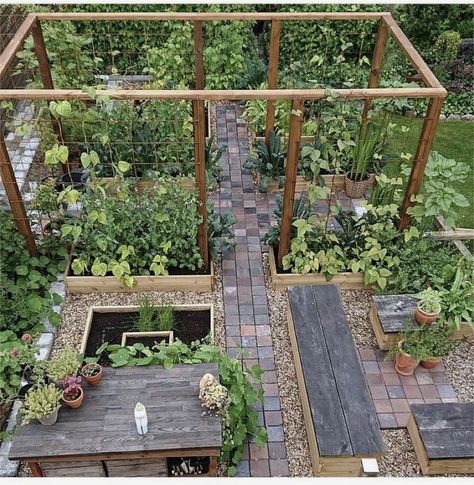 Lots Of Plants, Greenhouse Garden, Garden Idea, Veg Garden, School Garden, Magical Garden, Vegetable Garden Design, Garden Trellis, Garden Structures