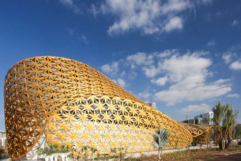 Butterfly Building, Rhino Architecture, Rainforest Ecosystem, Unusual Architecture, Butterfly Pavilion, Lattice Structure, Island Pictures, Butterfly Species, Glass Cube