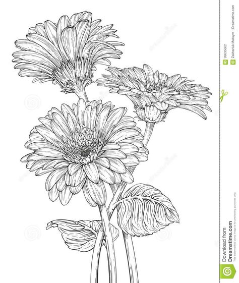 Illustration about Hand drawn ink illustration of three Gerbera Daisy flowers. Illustration of fashion, flower, element - 99635662 Gerbera Flower Painting, Gerbera Embroidery, Gerberas Drawing, Gerbera Daisy Drawing, Gerbera Flower Drawing, Gerbera Painting, Daisy Drawing, Pencil Drawings Of Flowers, Flower Sketch