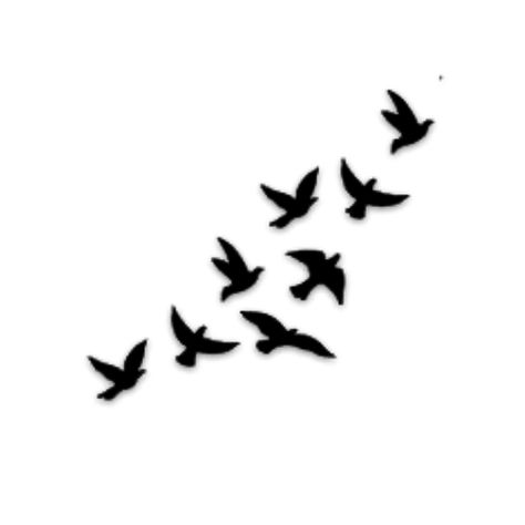 Bird Silhouette Tattoos, Tattoo Silhouette, Marine Tattoo, Vogel Silhouette, Vogel Tattoo, Black Bird Tattoo, Flying Bird Tattoo, Silhouette Tattoos, Blur Background Photography