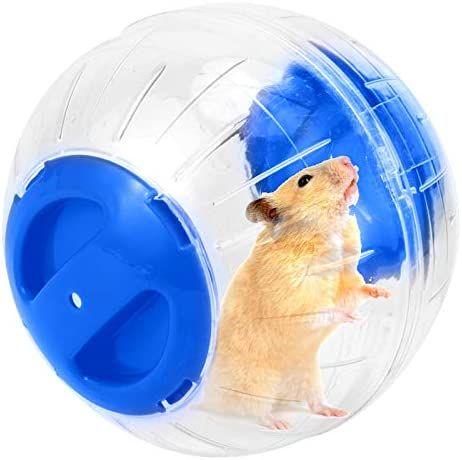 Can Leopard Geckos Use Hamster Balls? - ReptileStartUp.com Leopard Gecko Tank, Hamster Ball, Leopard Geckos, Hamster Wheel, Reptiles Pet, Leopard Gecko, He Or She, Tennis Balls, Gecko