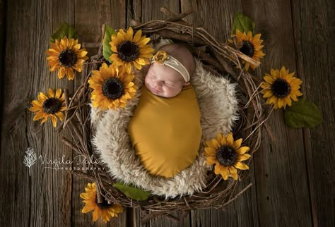 Sunflower Nursery, Newborn Picture Ideas, Foto Newborn, Sunflower Baby Showers, Baby Photography Ideas, Baby Pictures Newborn, Baby Photoshoot Ideas, Infant Photography, Newborn Baby Photoshoot