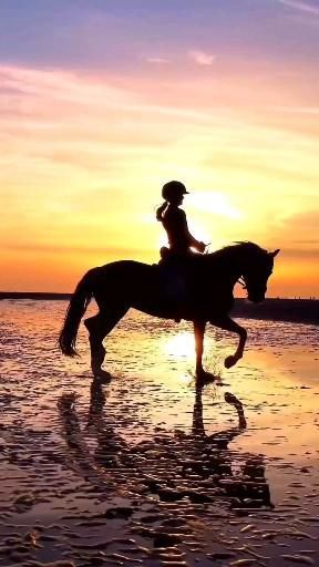 Ride Along, Horseback Riding, Golden Hour, The Ocean, The Beauty, The Beach, Horses, Beauty, Horse Riding