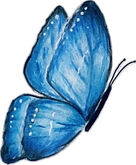 Aesthetic Sketch, Cute And Aesthetic, Aesthetic Butterfly, Blue Cute, Butterfly Drawing, Sketches Easy, Blackpink Rose, Butterflies, Sketch