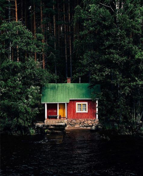 Red Cabin, Little Cabin In The Woods, Cottage Exteriors, Red Cottage, Little Cabin, Summer Cottage, Cabin In The Woods, Red House, Holy Cow