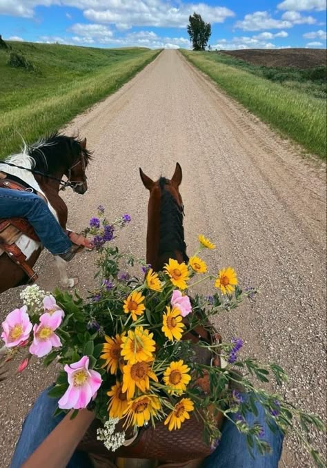 Miley Stewart, Trail Ride, Future Farms, Summer Aesthetics, Farm Lifestyle, Western Life, Horse Aesthetic, Cowgirl Aesthetic, Happy Pictures