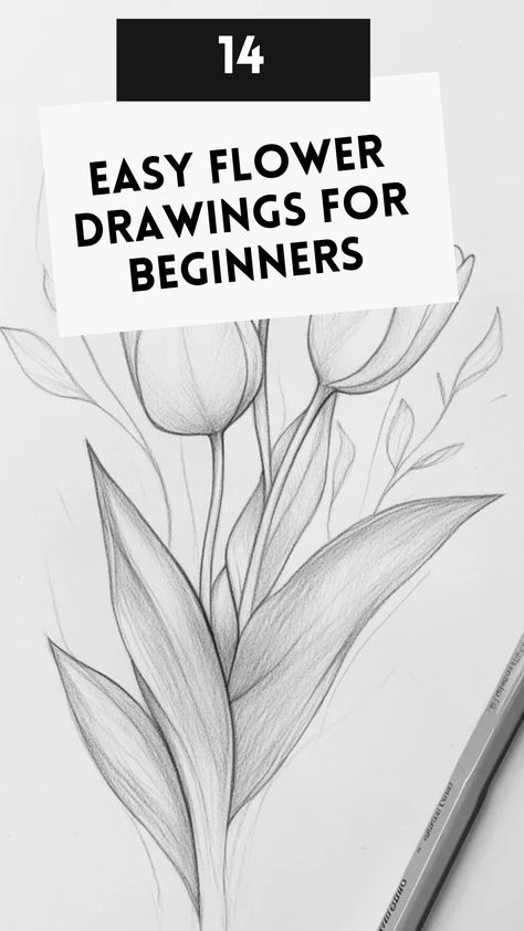 Learn to draw roses, daisies, and more with beginner-friendly instructions. Basic Flower Drawing Simple, Easy Flower Line Art, How To Draw Blossom, Sketching Flowers For Beginners, How To Draw Lilies Step By Step, Sketch Flowers Pencil, Simple Plants Drawing, Flower Sketches Simple Step By Step, Easy Drawing Of Flowers