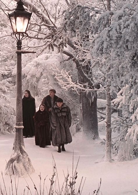 Narnia Winter, Narnia Aesthetic, Cair Paravel, Narnia Movies, Peter Pevensie, Lucy Pevensie, Susan Pevensie, Narnia 3, Edmund Pevensie