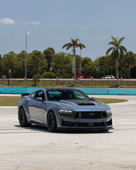 Ford Performance on X: "Dark Horse Mustangs served up smiles this past weekend at Barrett-Jackson West Palm Beach! #FordMustang https://t.co/OZlL1T0rr3" / X Jackson West, Ford Mustang Dark Horse, Barrett Jackson, Ford Mustang Shelby, Mustang Shelby, Dream Garage, Ford Mustang Gt, Performance Cars, Car Photography