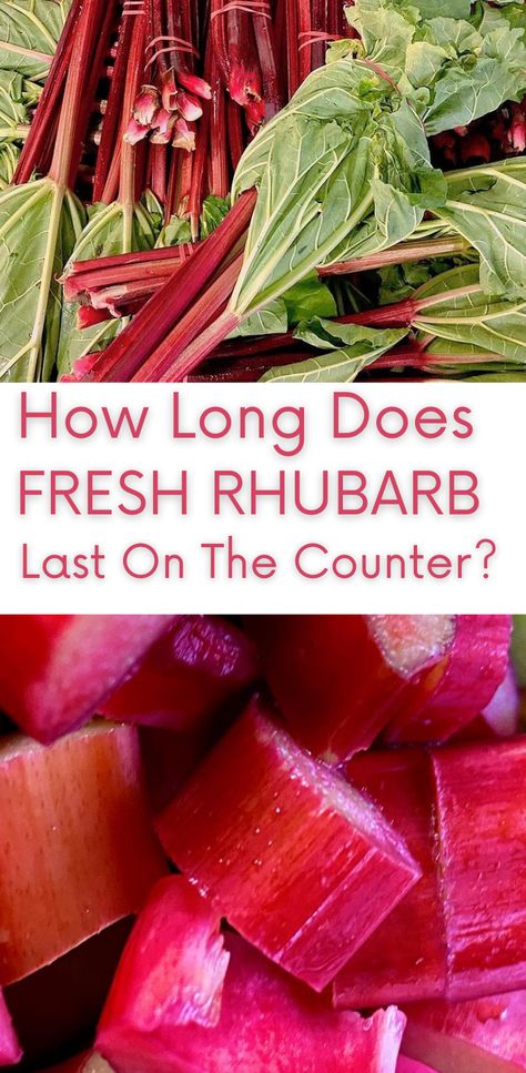 Know how long fresh rhubarb lasts. How to store fresh rhubarb on the counter and how to tell if they go bad. Fresh Rhubarb, Fridge Shelves, How To Store, Fresh Cut, Rhubarb, Shelf Life, Fruits And Vegetables, To Tell, Watermelon