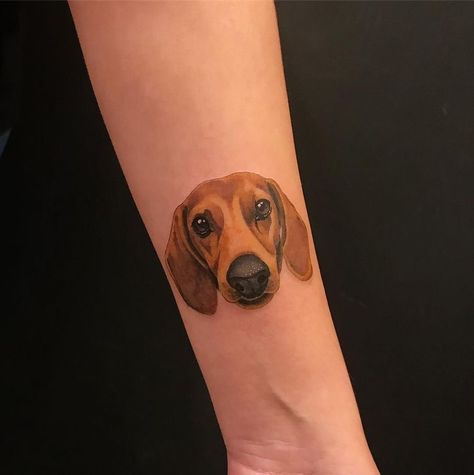 Animal Lover Tattoo, Tatoo Dog, Dachshund Tattoo, Shadow Tattoo, Memorial Tattoos, Wolf Tattoos, Dog Tattoo, Lion Tattoo, Trendy Tattoos