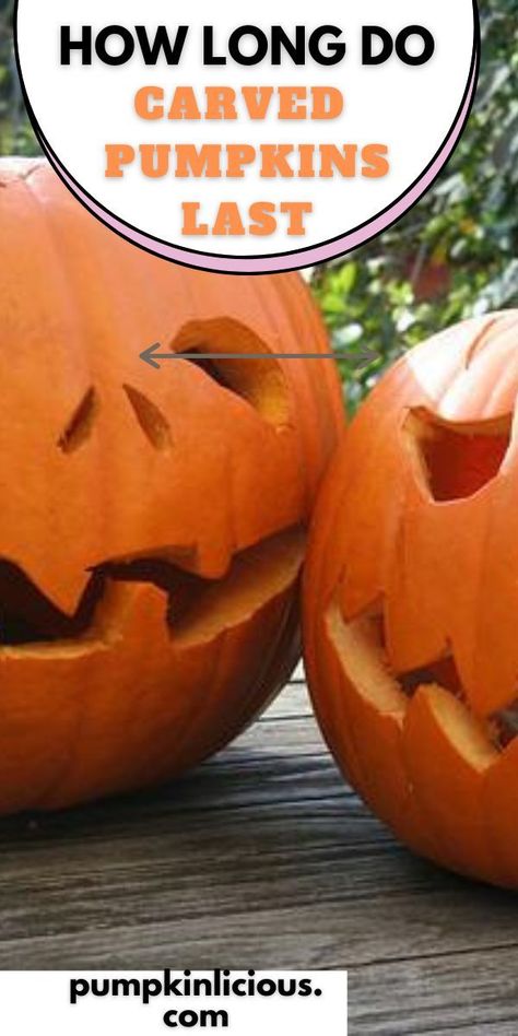 Carved Pumpkins, Growing Pumpkins, Carved Pumpkin, Best Pumpkin, Pumpkin Recipes, Jack O, If You Love, Jack O Lantern, Pumpkin Carving