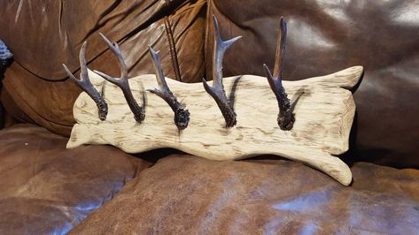 Deer Antler Coat Rack, Antler Coat Rack, Diy Antler, Antler Projects, Deer Antler Decor, Diy Coat Rack, Antler Crafts, Rustic Coat Rack, Hanger Diy