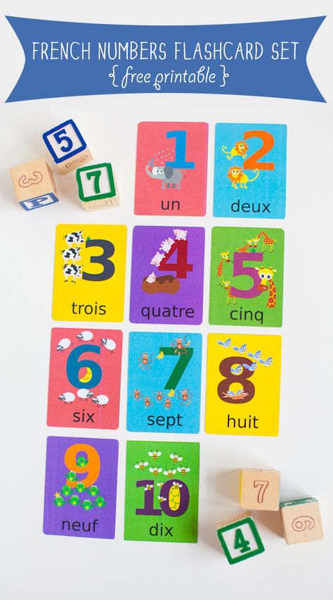 Looking for an easy way to get started in learning French? Download these French Numbers Flashcards to help you count- un, deux, tois! Chinese Numbers, Croatian Language, Chinese Flashcards, Learn Vietnamese, French Numbers, Spanish Numbers, Learn Polish, Number Flashcards, French Flashcards