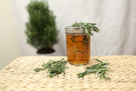 Keep your brain active and healthy with this DIY Rosemary Memory Elixir! This elixir can be used daily to support memory health. It’s made using dried herbs in order to store the mix long term, but you can certainly make it with fresh herbs if you wish! Herbal Academy, Herbal Recipes, Rosmarinus Officinalis, Ayurvedic Herbs, Healthy Brain, Essential Oils Rosemary, Lemon Balm, Natural Medicine, Drying Herbs