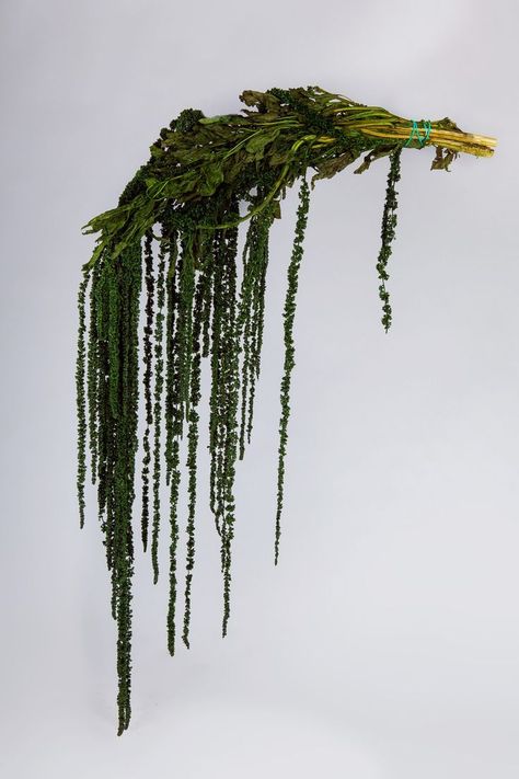 Unconventional Christmas Trees, Hanging Amaranthus, Decorative Branches, Decor Ceiling, Branch Decor, Dried Flower Arrangements, Ceiling Decor, Flower Boxes, Wedding Arch