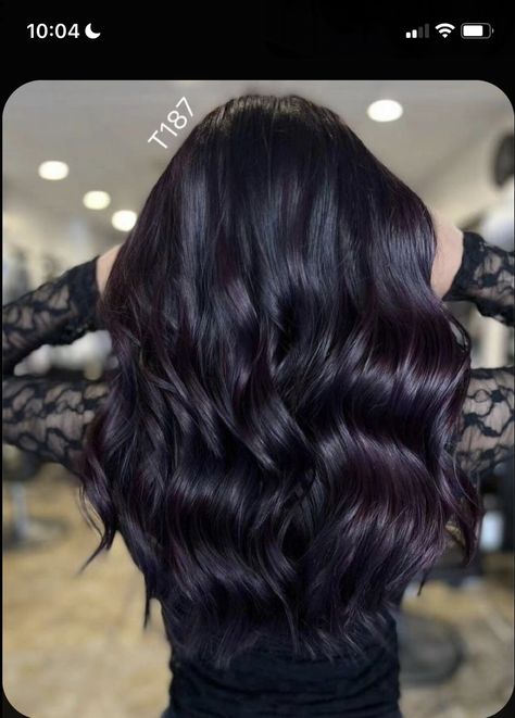 New Dark Hair Color Ideas, Black Hair With Red Violet Balayage, Black Amethyst Hair Color, Black Orchid Hair Color, Very Dark Hair Color Ideas, Black Hair With Purple Undertones, Purple Balayage Black Hair, Dark Purple Balayage Brunettes, Dark Brown Hair With Purple Tint