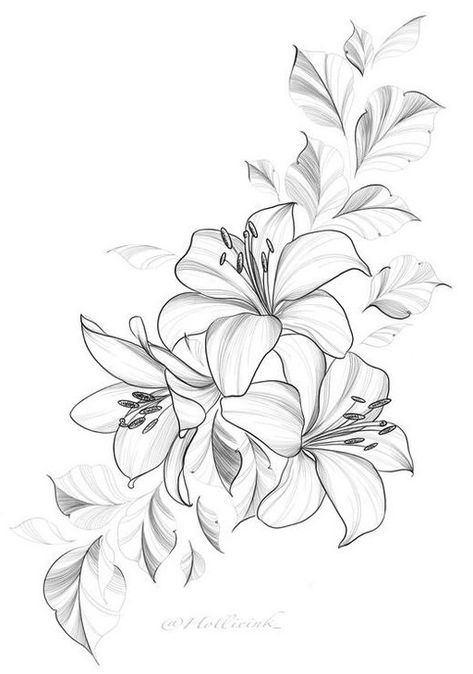 Lillies Tattoo Stencil, Gilded Lily Tattoo, Tiger Lilly Drawing Flowers, Lily Line Tattoo, Tiger Lily Tattoo Design, Tigerlily Tattoo, Stargazer Tattoo, Lily Tattoos For Women, Lily Flower Tattoo Designs