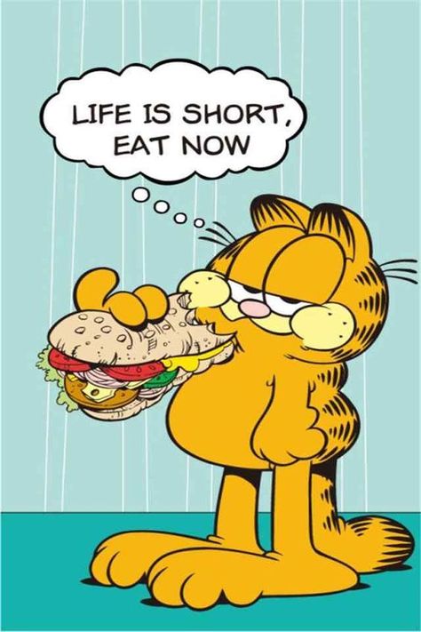 Garfield Birthday, Garfield Quotes, Garfield Wallpaper, Garfield Pictures, Garfield Images, Garfield The Cat, Garfield Christmas, Garfield Cartoon, Garfield Cat