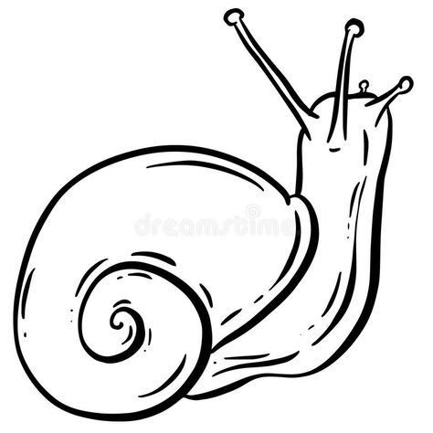 Snail Line Art, Snail Outline, Snail Drawing, Background Graduation, Art Outline, Garden Snail, Animal Mascot, Snail Art, Snails In Garden