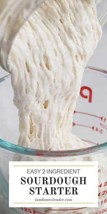 Best Sourdough Starter, Easy Sourdough Starter, Best Sourdough Starter Recipe, Dough Starter Recipe, Amish Friendship Bread Starter Recipes, Friendship Bread Starter, Sourdough Bread Starter, Dough Starter, Sourdough Starter Discard Recipe