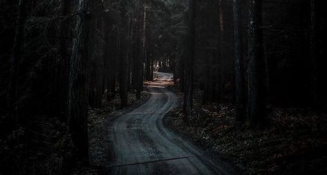 "Walking Each Other Home" | Literary Hub 4k Nature Wallpaper, Forest Wallpaper Iphone, Ed Wallpaper, Hd Dark Wallpapers, Dark Background Wallpaper, 4k Wallpapers For Pc, Rain Wallpapers, Nature Background Images, Dark Nature Aesthetic