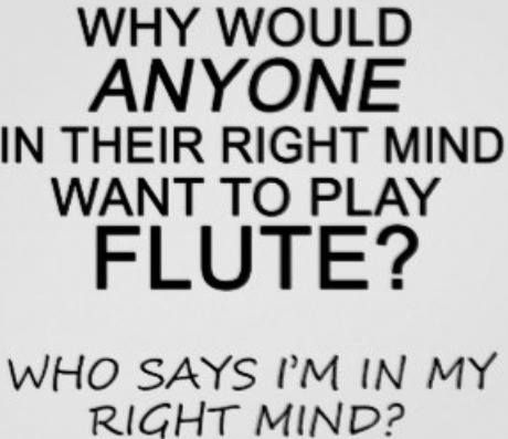 Funny Flute Jokes, Flute Jokes, Flute Quotes, Flute Memes, Funny Band Jokes, Band Puns, Musician Jokes, Flute Problems, Marching Band Problems