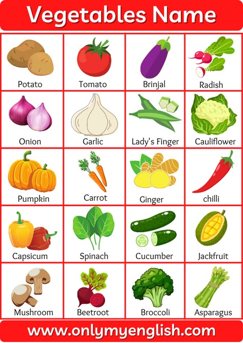 here i am provided different types of vegetable name in english language and lots of vegetables complete list Vegetables Names With Pictures, Vegetables Name, Name Of Vegetables, Fruits And Vegetables List, Fruits Name In English, Vegetable Chart, Fruits Name, Vegetables List, Preschool Charts