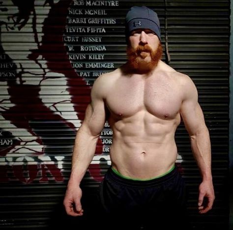 Sheamus Wwe, Dr Post, Carrot Top, Wwe, Sumo Wrestling