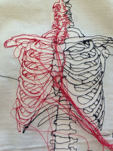 Anatomy For Artists, A Level Art, Rib Cage, Embroidery Thread, Art Classes, 3d Art, Anatomy, Skeleton, Art Projects