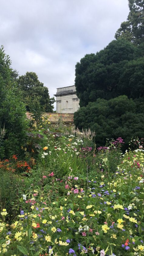 peterhouse, cambridge Peterhouse Cambridge, Wedding 2025, Wildflower Wedding, Cambridge, Wild Flowers, Bee, Pins