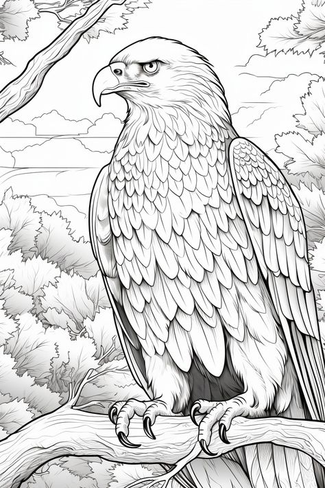 Eagle Art Draw, Drawing Of An Eagle, Eagle Sketch Pencil Drawings, Eagle Drawings, Realistic Animal Coloring Pages, Eagle Coloring Pages, Bald Eagle Coloring Page, Eagle Drawing, Pencil Drawings Of Animals