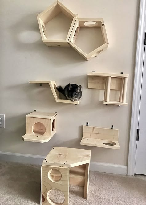 Cat Walls, Diy Cat Tower, Chinchilla Pet, Chinchilla Cage, Cat Fun, Cat Wall Furniture, Cat Playground, Cat Shelves, Animal Room