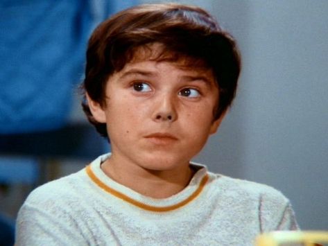 Peter Brady, Robert Reed, Pink Strawberries, Brady Bunch, The Brady Bunch, Glee Club, Family Camping Trip, New Boyfriend, Christopher Knight