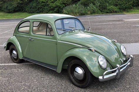 Car Beetle, Beetle Volkswagen, Volkswagen Beetle Vintage, Car Yellow, Beetle Vw, Volkswagen Beetle Convertible, Bug Car, Hippie Bus, Old Vintage Cars