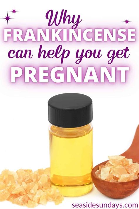 Essential Oils For Fertility, Fertility Blend, Herbs For Fertility, Frankincense Benefits, Pregnancy Spells, Fertility Spells, Help Getting Pregnant, Frankincense Resin, Fertility Health