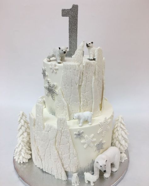 Polar Bear Birthday Cake, Winter One Year Old Birthday Parties, Polar Bear Birthday, Polar Bear Cake, Baby Bash, Boys 1st Birthday Party Ideas, Bear Birthday Party, Ice Cake, Bear Cake