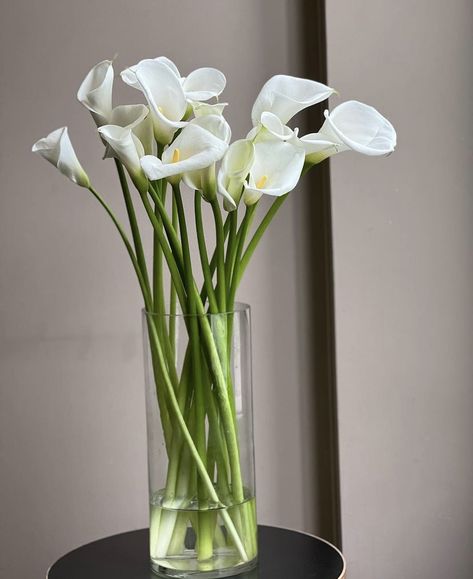 Calla Lily Aesthetic, Calla Lily Vase, Cala Lillies, Lily Vases, Fresh Wedding Flowers, Arum Lily, Lilly Flower, Flowers Photography Wallpaper, Flower Arrangements Simple