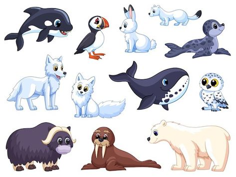 North Pole Animals, Polar Wolf, Arctic Penguins, Cartoon Mountain, Snow Animals, Wolf Animal, Bear Vector, Fox Drawing, Animals Cartoon