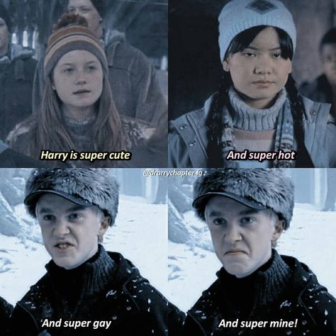 Meme Harry Potter, Citate Harry Potter, Glume Harry Potter, Funny Harry Potter Jokes, Harry Draco, Gay Harry Potter, Harry Potter Feels, Harry Potter Puns, Images Harry Potter