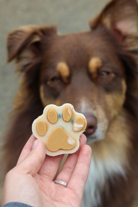 Fancy Grilled Cheese Sandwiches, Pup Treats, Yogurt Frozen, Banana Frozen, Peanut Butter Yogurt, Watermelon Popsicles, Frozen Dog Treats, Pumpkin Dog Treats, Frozen Dog