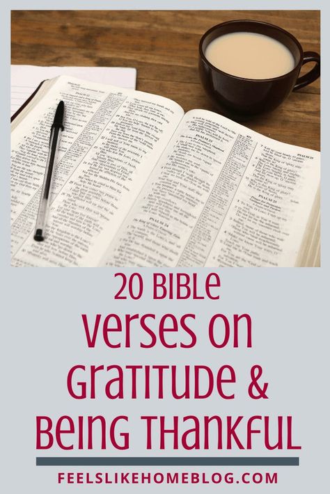 Bible Verses on gratitude & being thankful - These 20 scriptures will encourage you to be grateful in every circumstance. The words of the Lord Jesus Christ and others will inspire you to walk in life, truth, and faith with a grateful heart. #gratitude #grateful #thanksgiving #thankful #christianity #Bible #encouragement Thankful Scripture Quotes, Thankful Scripture, Thankful Bible Verses, Thank You Messages Gratitude, It Never Ends, Being Thankful, Feeling Thankful, Word Of The Year, Homeschool Board