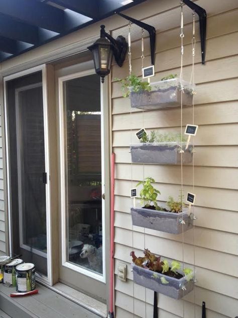 Hanging Herb Gardens, Vertical Container Gardening, Vertical Herb Gardens, Patio Herb Garden, Hanging Herb Garden, Hanging Herbs, Vegetable Garden Tips, Outside Garden, Pinterest Garden