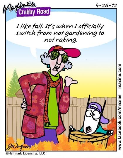 😊 Autumn Humor, Maxine Humor, Fall Humor, Gardening Humor, Fall Beauty, Golden Years, Funny Comments, Funny Cartoons, Timeline Photos