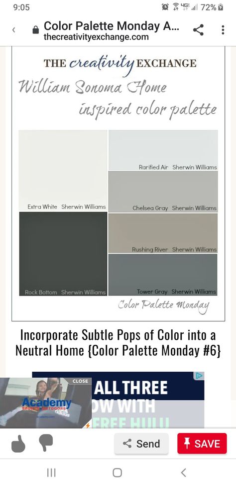 Rock Bottom Color Palette, Sherwin Williams Rock Bottom Paint, Rock Bottom Sherwin Williams, Sherwin Williams Color Schemes, Sherwin Williams Extra White, Sherwin Williams Color Palette, Indoor Paint, Charcoal Paint, Paint Inspo