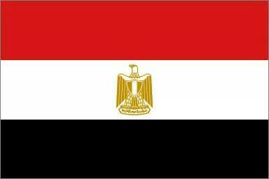 Egypt Flag Gif, Egyptian Flag, World Country Flags, Syria Flag, Egypt Flag, Egypt Map, Different Flags, Funny Looking Cats, Countries And Flags