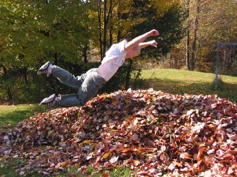 Leaf Pile....do you still jump?  #fall #leaves Music Subject, Leaf Pile, Pile Of Leaves, Funny Dog Jokes, Dog Jokes, Back In My Day, Forest School, Those Were The Days, Big Leaves