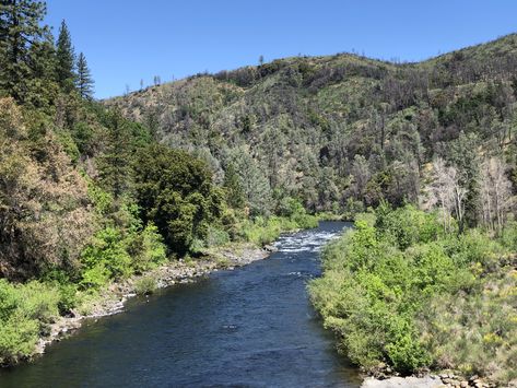 The Sacramento River at Dog Creek. 5-3-2020 Sacramento River, Sacramento, Travel Destinations, Water, Photography, Travel