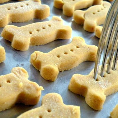 Dog Treats Homemade Pumpkin, Pumpkin Dog Biscuits, Homemade Dog Cookies, 4de Verjaardag, Dog Biscuit Recipes, Easy Dog Treats, Pumpkin Dog Treats, Dog Cookies, Dog Biscuits