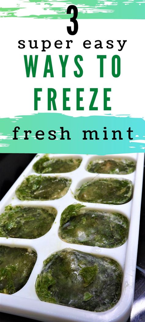 Mint Recipes Fresh, Freezing Peppers, Preserving Herbs, Mint Sauce, Awesome Food, Fresh Mint Leaves, Food Preservation, Frozen Fruit, Mint Leaves